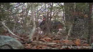 Ozark Mountain TURKEY hunt!  (THROWBACK)