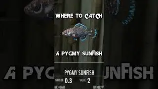 Where To Catch A Pygmy Sunfish! #fishing #skyrim #skyrimanniversaryedition #shorts