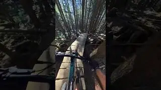 Trail Just Keeps on Givin&rsquo;🤘🏻 #mtb #bike #emtb