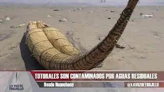 MEDIO AMBIENTE 🌎 | Totorales de Huanchaco en peligro por aguas residuales #LaVozdeTrujillo 16-5-2025