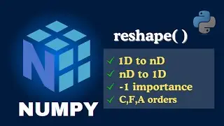 NumPy reshape() Full Tutorial: 1D→2D→3D, Flatten, -1, Order C/F/A Explained