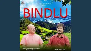 Bindlu
