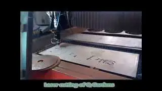 qgardens na plots laser