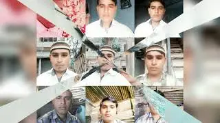 AlimRaini MatkaBazar
