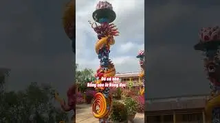 C&aacute;ch ph&acirc;n biệt Rồng đực hay c&aacute;i?🐉#dulichmientay#daodua#conphung#bentre#rong#phanuyquyen