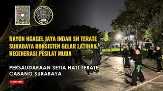 Rayon Ngagel Jaya Indah SH Terate Surabaya Konsisten Gelar Latihan, Regenerasi Pesilat Muda
