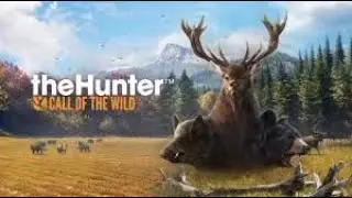 The Hunter: Call of  whe Wild ქართულად