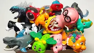 Toy ASMR ,6:13 Minutes Satisfying with Unboxing ,Toys Set, Electric Toys, Cute Toys | Review toys