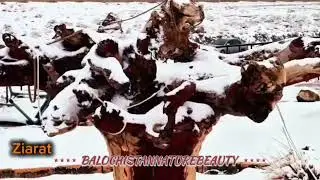 Balochistan bar me baraf bari #balochistan #beautifulbalochistan #travel #barafbari #snowfall