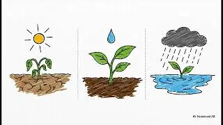 IoT Sensor Systems for Environmental Monitoring and Control