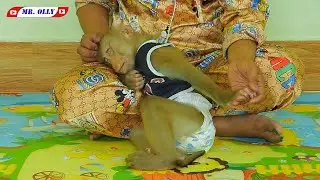Smart Mister KAKO Sleeping Well Hug Mommy Lap