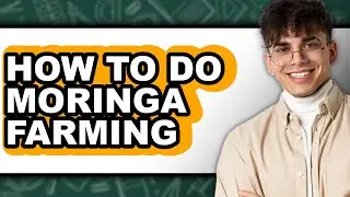 How To Do Moringa Farming - Easy Guide