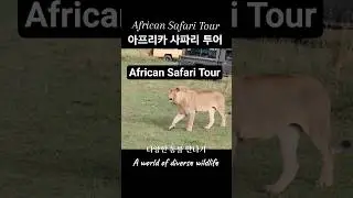 African Safari Tour