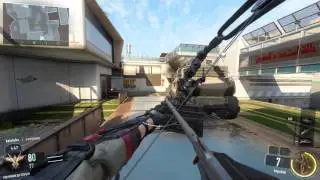 Some Bullshit in Black Ops 3 PC