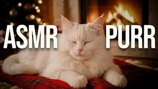 24 Hours of Purring Cat & Fireplace Ambience 🔥 Sleep & Relaxation ASMR (NO MUSIC) 2