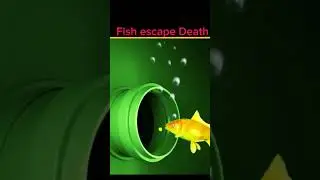 fish who escape the death 💀 #facts #shorts