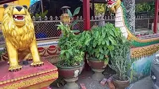 @🙏🏻🙏🏻🙏🏻#ມານີ້ໄດ້ພາທຸກຄົນມາຂໍພອນທີ່ວັດສີເມືອງ 🙏🏻🙏🏻🙏🏻
