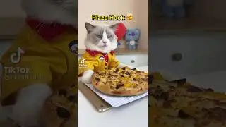 Knock knock, your pizza is here! #thatlittlepuff #whatshouldpuffdo #recipe #BillboardNXT 467 #😊