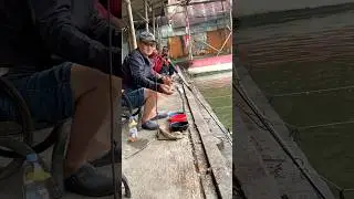 Bombardir terus Lalapoh&hellip;Timbang emasnya #mancing #fishing #galatama
