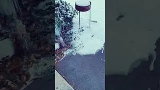 Blizzard conditions in texas: polar vortex 2021 #texassnow