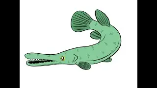 How to Draw ALLIGATOR GAR FISH