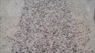 Process of Terrazzo Restoration Service in Ft Lauderdale