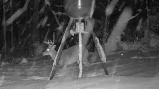 Reveal 3.0 videos of deer in N.C. snow 2026. #trailcam #northcarolina #rowancounty #wildlife #deer