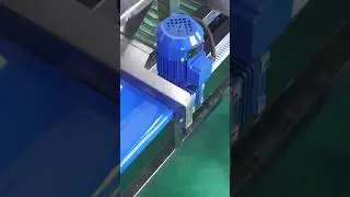 Potato Grading Machine Sorting Machine Potato Grader