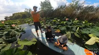 Relaxed SUP paddling on Snagov Lake