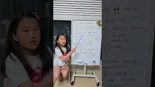 Lily Animal Classification