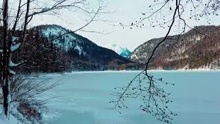 Alpsee Rundweg im Winter 4k