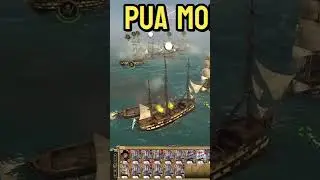 PUA истерико-исторический брандер Empire Total War