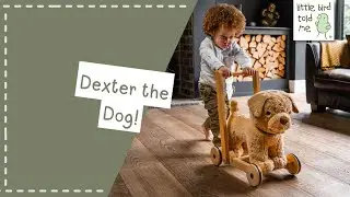 Dexter Dog Baby Walker and Pull Along | Walk Your New Best Friend!