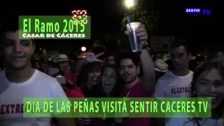 DIA DE LAS PEÑAS  EL RAMO 2015