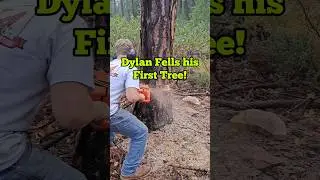My 12 Year old Boy Fells his first Tree!