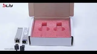 SFP Switch
