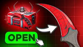 UNBOXING A $25,000 CRIMSON WEB KARAMBIT (CSGOBIG)