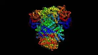 Crystal structure of the T-state maize C4-phosphoenolpyruvate carboxylase (Zea Mays)
