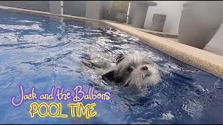 Jack and the Balbons swimming session