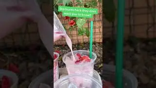 STARBUCKS HACK THEY DONT WANT YOU TO KNOW #shorts