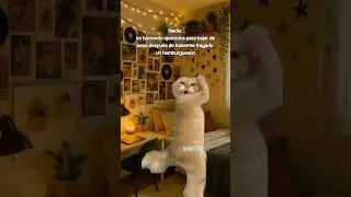 #sisepuede 🤸🏻&zwj;♀️🏋🏻&zwj;♀️🤭😹 #ia #humorviral #youtubeshorts