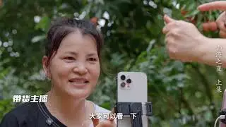 一颗荔枝，映照&ldquo;百千万工程&rdquo;的生动实践。在政策牵引和资源整合下，茂名柏桥村打通田头预冷、冷链物流、电商销售和深加工链条，让千年荔枝产业稳住产量、拓宽销路，真正转化为农民持续增收的新动能 #山海之变