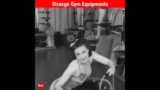 Strange Gym equipments | Factovation | Purnima Kaul