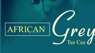AFRICAN GREY BY TEE CEE (Official Audio)