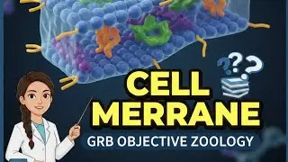 Membrane trans port Questions GRB objective zoology/OSSTET/ssb tgt 