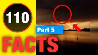 110 Random Facts to Supercharge Your Brain!