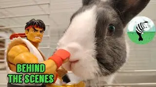 Behind the Scenes Stop Motion Shenanigans