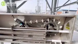 Optimizing Pig Farming: Chain Feeding System by Deba Brothers | In-Field Demonstration