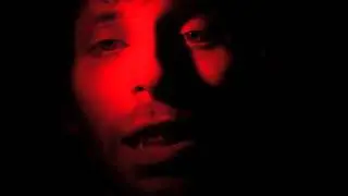 Whales In Cubicles - All The Pretty Flowers (Official Video)