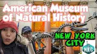 Explore American Museum of Natural History||New York City|| (something amazing inside)